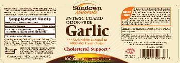 Sundown Naturals Enteric Coated Odor-Free Garlic - supplement