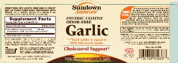 Sundown Naturals Enteric Coated Odor-Free Garlic - supplement