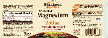 Sundown Naturals Essential Magnesium 250 mg - mineral supplement