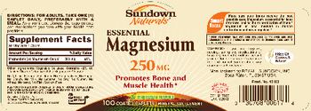 Sundown Naturals Essential Magnesium 250 mg - mineral supplement