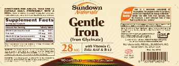Sundown Naturals Gentle Iron 28 mg - supplement