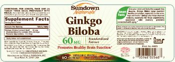 Sundown Naturals Ginkgo Biloba 60 mg - herbal supplement