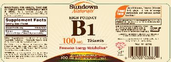 Sundown Naturals High Potency B1 100 mg - vitamin supplement
