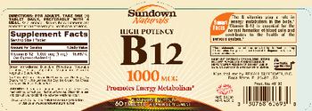 Sundown Naturals High Potency B12 1000 mcg - vitamin supplement