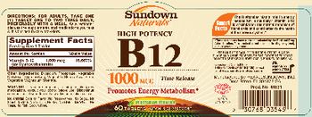 Sundown Naturals High Potency B12 1000 mcg Time Release - vitamin supplement