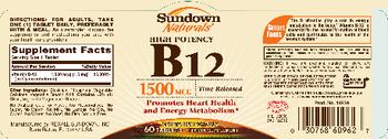 Sundown Naturals High Potency B12 1500 mcg Time Released - vitamin supplement