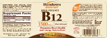 Sundown Naturals High Potency B12 1500 mcg - vitamin supplement
