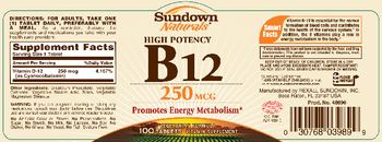 Sundown Naturals High Potency B12 250 mcg - vitamin supplement