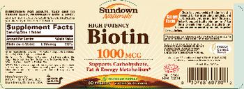 Sundown Naturals High Potency Biotin 1000 mcg - vitamin supplement