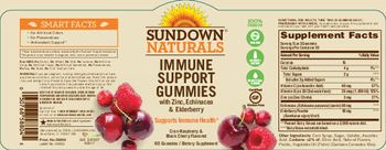 Sundown Naturals Immune Support Gummies Cran-Raspberry & Black Cherry Flavored - supplement