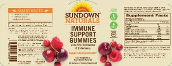 Sundown Naturals Immune Support Gummies - supplement