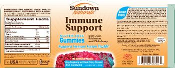 Sundown Naturals Immune Support - supplement