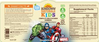 Sundown Naturals Kids Complete Multivitamin Gummies - supplement