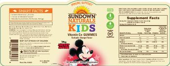 Sundown Naturals Kids Vitamin C+ Gummies Fantastic Orange Flavor - supplement