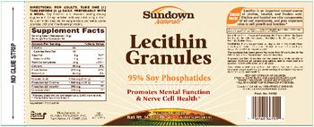 Sundown Naturals Lecithin Granules - supplement
