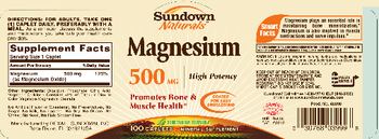 Sundown Naturals Magnesium 500 mg High Potency - mineral supplement