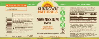 Sundown Naturals Magnesium 500 mg - mineral supplement