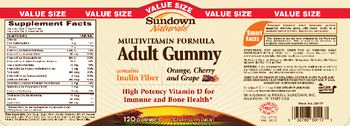 Sundown Naturals Multivitamin Formula Adult Gummy - supplement