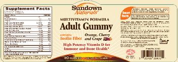 Sundown Naturals Multivitamin Formula Adult Gummy - supplement