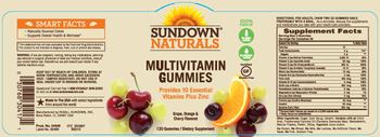 Sundown Naturals Multivitamin Gummies - supplement