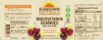 Sundown Naturals Multivitamin Gummies With Co Q-10 - supplement