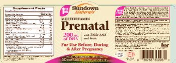 Sundown Naturals Multivitamin Prenatal - supplement