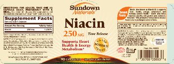 Sundown Naturals Niacin 250 mg Time Release - supplement