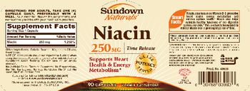 Sundown Naturals Niacin 250 mg - vitamin supplement