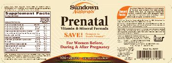Sundown Naturals Prenatal Vitamin & Mineral Formula - supplement