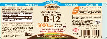 Sundown Naturals Quick Dissolve Methylcobalamin B-12 5000 mcg Cherry Flavor - supplement