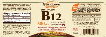 Sundown Naturals Sublingual B12 500 mcg Delicious Natural Cherry Flavor - vitamin supplement