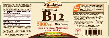 Sundown Naturals Sublingual B12 5000 mcg - vitamin supplement