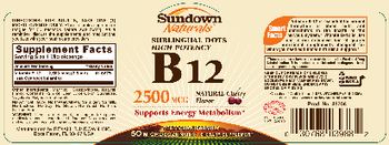 Sundown Naturals Sublingual Dots High Potency B12 2500 mcg Natural Cherry Flavor - supplement