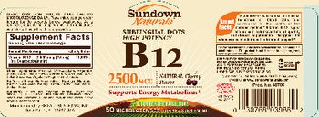 Sundown Naturals Sublinqual Dots High Potency B12 2500 mcg Natural Cherry Flavor - supplement