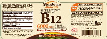 Sundown Naturals Super Potency B12 6000 mcg - vitamin supplement