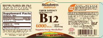 Sundown Naturals Super Potency Sublingual B12 6000 mcg - vitamin supplement