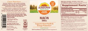 Sundown Niacin 500 mg - vitamin supplement