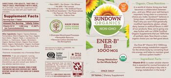 Sundown Organics Ener-B B12 1000 mcg - supplement