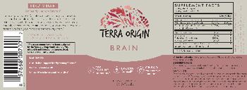 Terra Origin Brain - supplement