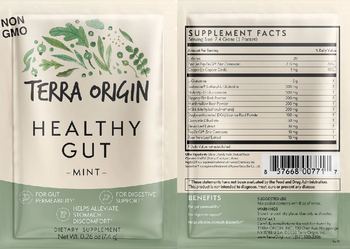 Terra Origin Healthy Gut Mint - supplement