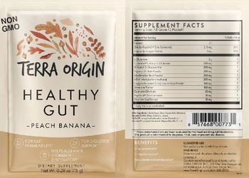 Terra Origin Healthy Gut Peach Banana - supplement