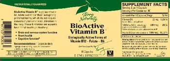 Terry Naturally BioActive Vitamin B - supplement