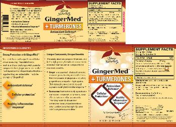Terry Naturally GingerMed + Turmerones - supplement