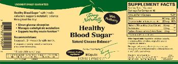 Terry Naturally Healthy Blood Sugar - supplement