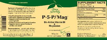 Terry Naturally P-5-P/Mag - supplement