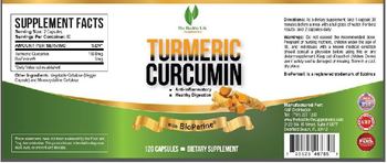 The Healthy Life Supplements Turmeric Curcumin - supplement