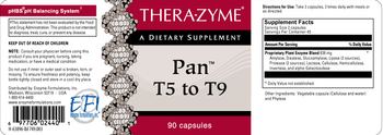 Thera-Zyme Pan T5 To T9 - supplement