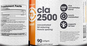 Top Secret CLA 2500 - supplement