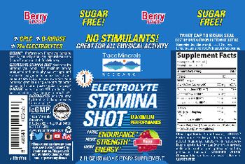 Trace Minerals Research Electrolyte Stamina Shot Berry - supplement
