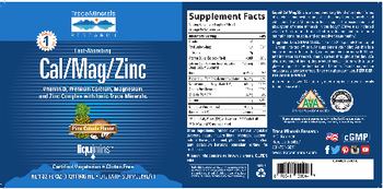 Trace Minerals Research Fast-Absorbing Cal/Mag/Zinc Pina Colada Flavor - supplement